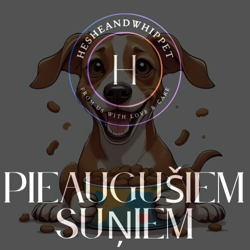 PIEAUGUŠIEM SUŅIEM